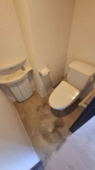 ZJ2×内装張替えで清潔感アップのビフォー画像